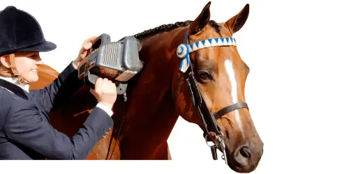 Free Returns Equine Pro