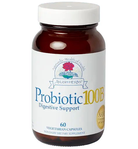 Budget Probiotic 100B - 60 Capsules