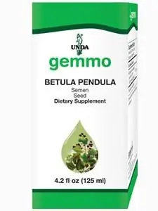 Authentic Betula Pendula (seed) - 4.2 fl oz