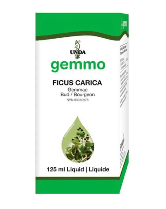 Popular Ficus Carica - 4.2 fl oz