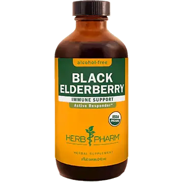 Black Elderberry - Alcohol Free Bargain