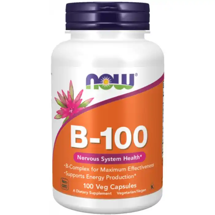 Same Day Shipping NOW Foods Vitamin B 100mg