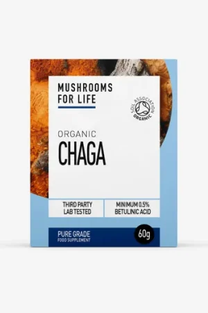 Fast Shipping Organic Chaga Extract Powder
