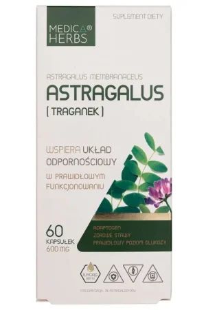 Medica Herbs Astragalus (Traganium) 600 mg - 60 Capsules Bargain
