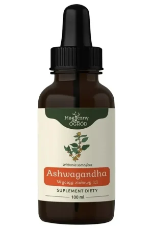 Fan Favorite Nanga Ashwagandha Herbal Extract 1 1 - 100 ml