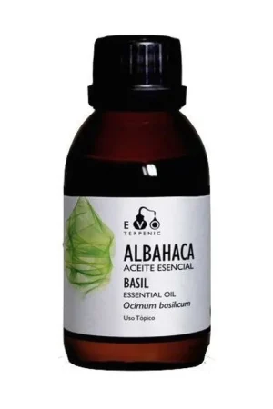 Basil Essential Oil Bio 30 ml of essential oil Terpenic Sale