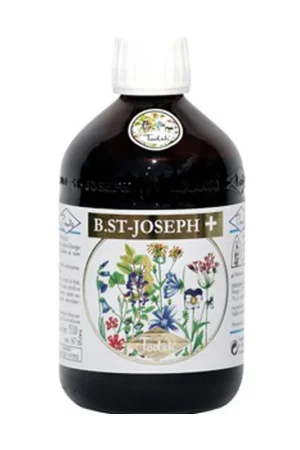 Direct From Factory B. St-Joseph + "Todah ‘Pianto 510 g