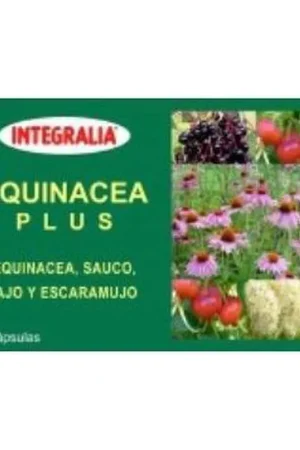 Echinacea Plus 60 capsules Integralia Best Price