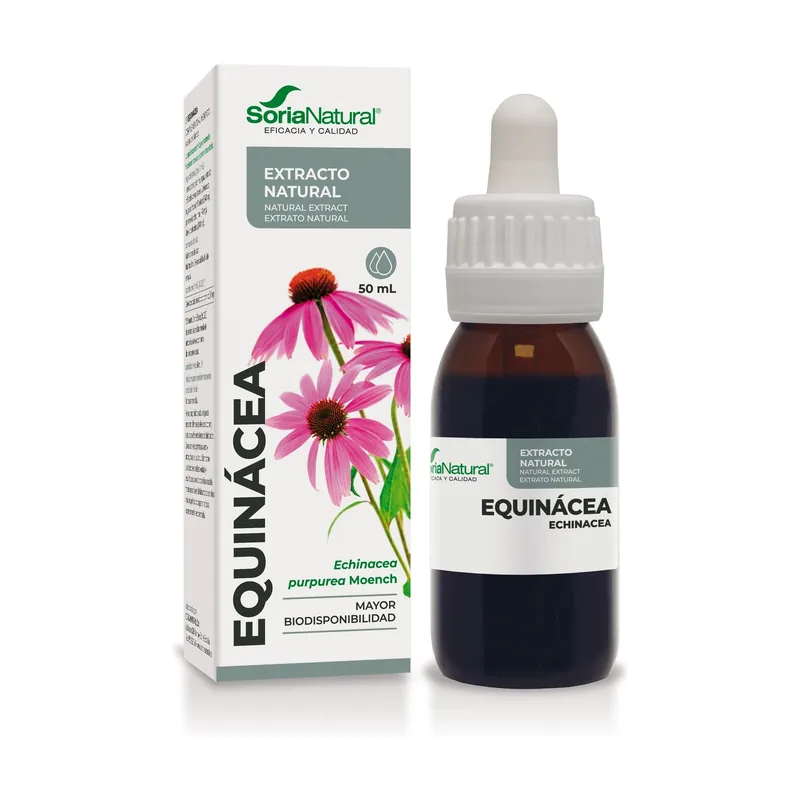 Echinacea Extract Soria Natural Formula XXI Fan Favorite