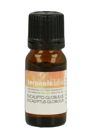 Professional Grade Eucaliptus Globulus Essential Oil 10 ml of essential oil Terpenic