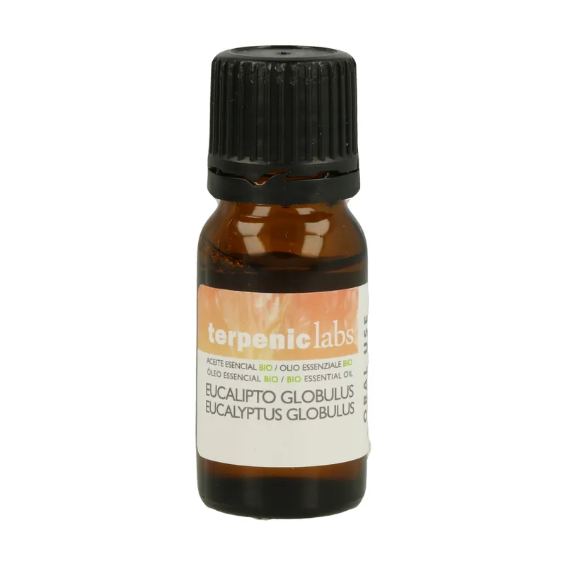 Professional Grade Eucaliptus Globulus Essential Oil 10 ml of essential oil Terpenic