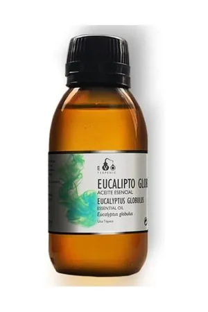 Popular Eucalyptus Globulus Essential Oil 100 ml of essential oil Terpenic