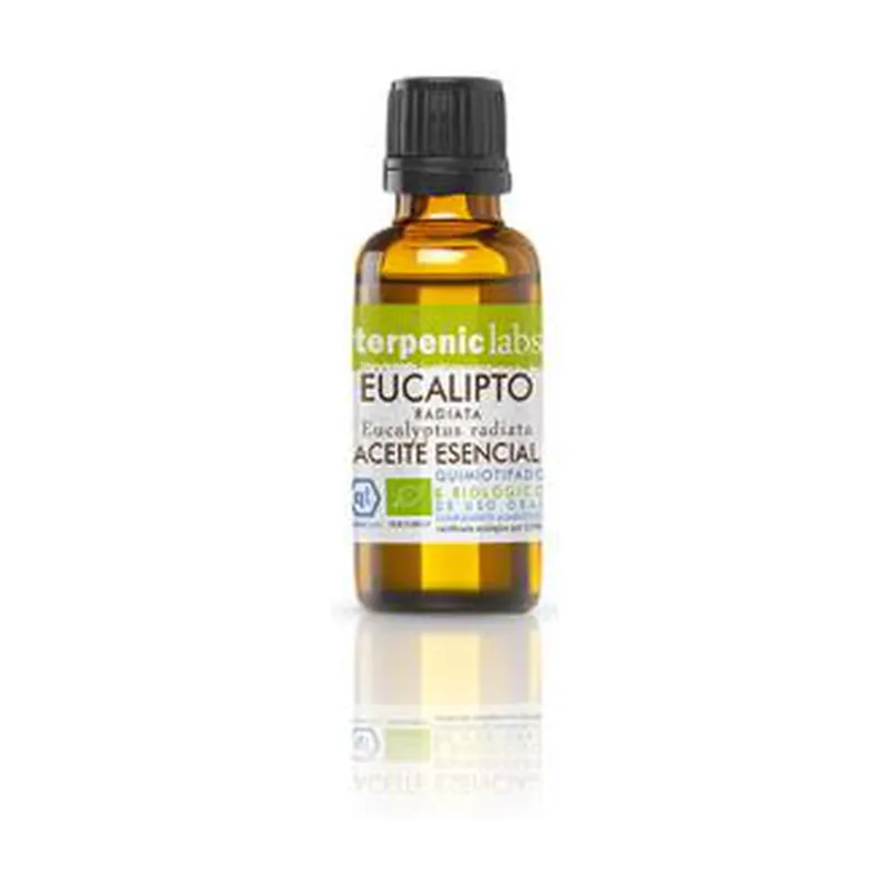Eucalyptus Radiata Bio Essential Oil 30 ml of essential oil Terpenic Authentic