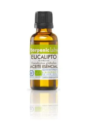Authentic Eucalyptus Globulus Bio Essential Oil 30 ml of essential oil Terpenic