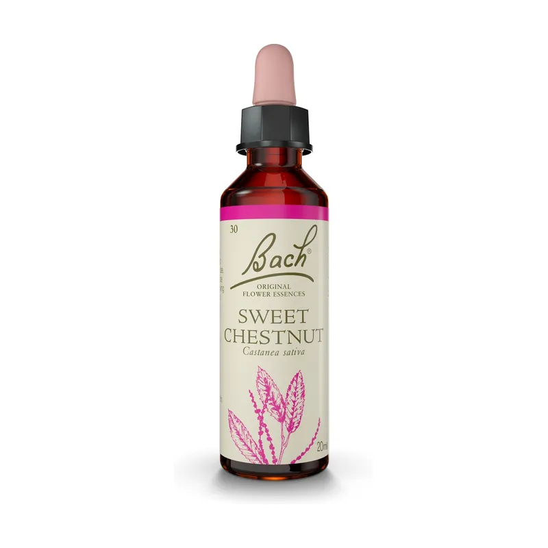 Bach Flower Essences 30 - Sweet Chesnut 20 ml of floral elixir Bach Original Big Sale