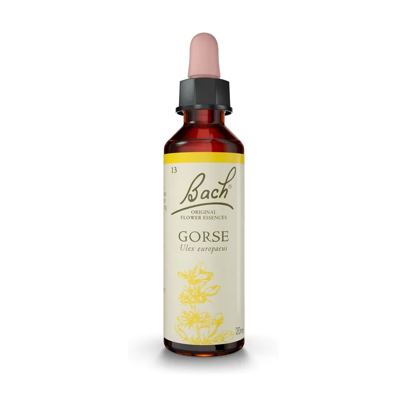 Markdown Bach 13 Gorse flowers (Gorse) 20 ml of floral elixir Bach Original