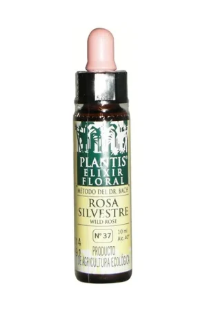 Bach Flower Rose Sil-37 Eco Floral Elixir 10 ml of floral elixir Plantis Seasonal Sale
