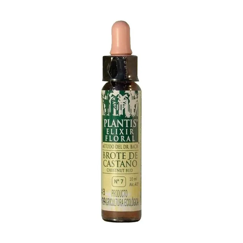 Premium Bach Flowers Bud Chestnut-7 Eco Floral Elixir 10 ml of floral elixir Plantis