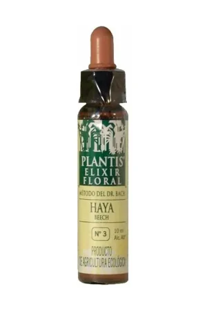 Get Yours Beech No. 3 Eco 10 ml of floral elixir Plantis