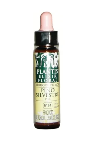 Order Now Bach Flowers Pine Sil-24 Eco Floral Elixir 10 ml of floral elixir Plantis