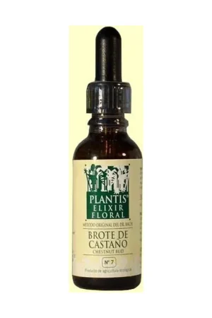 Chestnut Sprout No. 7 Eco 30 ml of floral elixir Plantis Big Sale