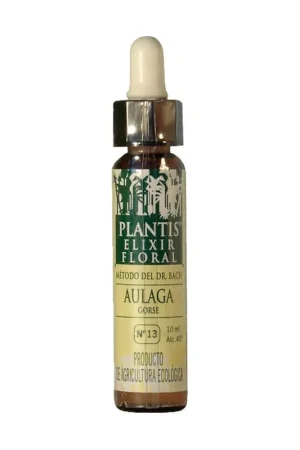 Gorse N ° 13 Eco 30 ml of floral elixir Plantis Shop Now