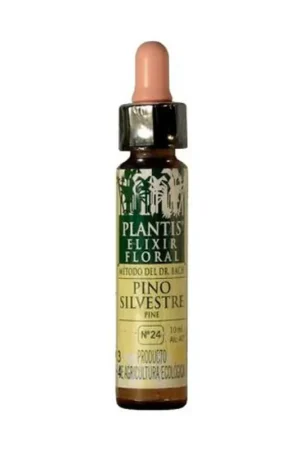 Fan Favorite Wild Pine N ° 24 Eco 30 ml of floral elixir Plantis