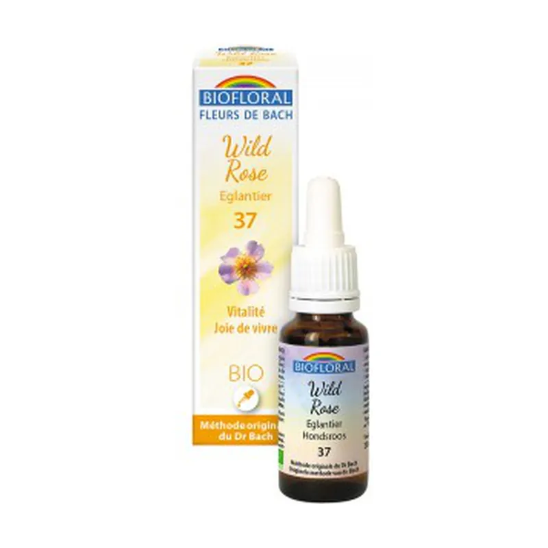 Hot Deal Organic dog rose 20 ml of floral elixir Biofloral