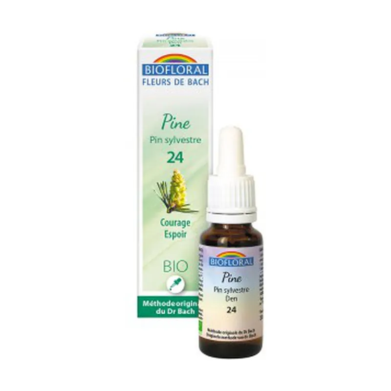 Deal Organic Sylvester Pine 20 ml of floral elixir Biofloral