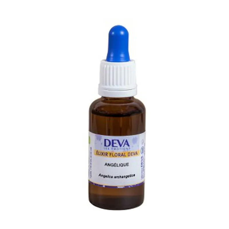 Popular Angelica Bio 30 ml of floral elixir Deva