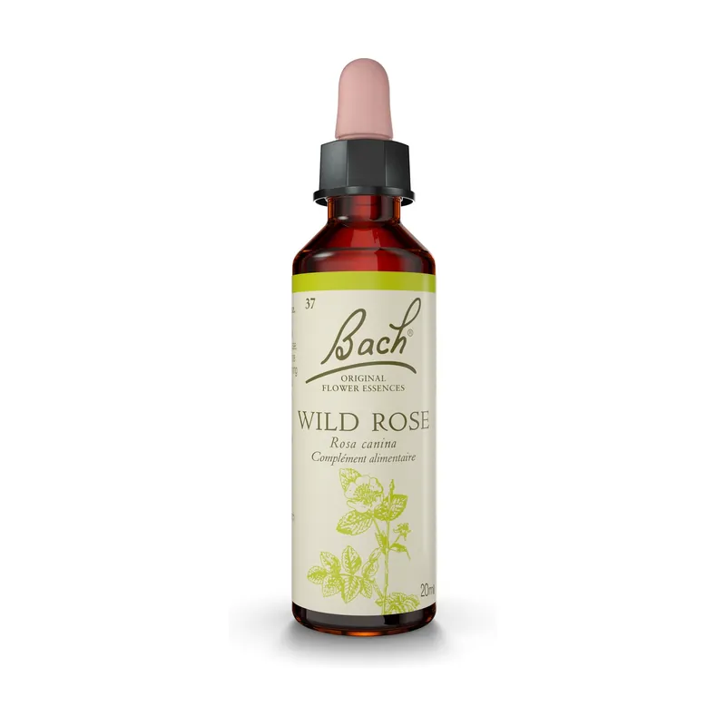 Bach® Flowers Original Wild Rose (Rosehip) 20 ml of floral elixir Fleurs de Bach® Original Mega Sale