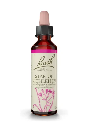 Bach® Flowers Original Star of Bethlehem (Etoile de Bethlehem) 20 ml of floral elixir Fleurs de Bach® Original Premium