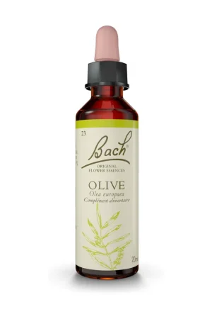 Bach® Flowers Original Olive (Olivier) 20 ml of floral elixir Fleurs de Bach® Original Big Sale