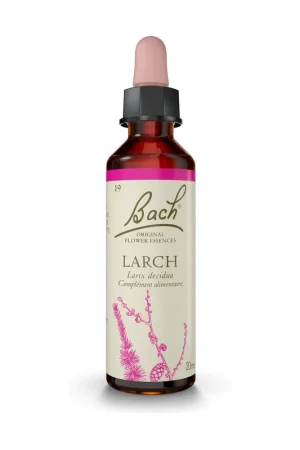Order Now Bach® Flowers Original Larch (Larch) 20 ml of floral elixir Fleurs de Bach® Original