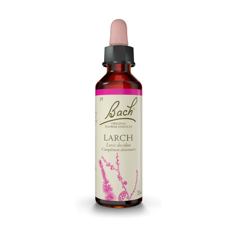 Order Now Bach® Flowers Original Larch (Larch) 20 ml of floral elixir Fleurs de Bach® Original