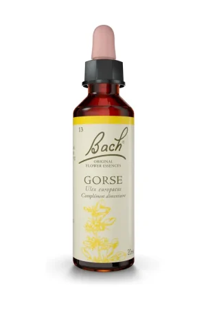 Bach® Flowers Original Gorse (Gorse) 20 ml of floral elixir Fleurs de Bach® Original Factory Price