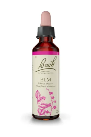 Shop Now Bach® Flowers Original Elm (Elm) 20 ml of floral elixir Fleurs de Bach® Original