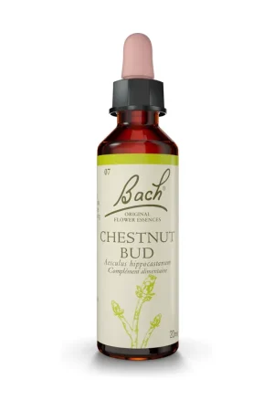 Popular Bach® Flowers Original Chestnut Bud 20 ml of floral elixir Fleurs de Bach® Original