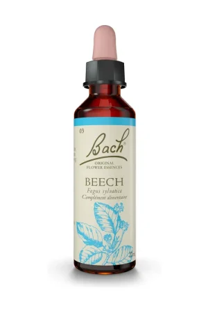 New Arrival Bach® Original Beech Flowers (Beech) 20 ml of floral elixir Fleurs de Bach® Original