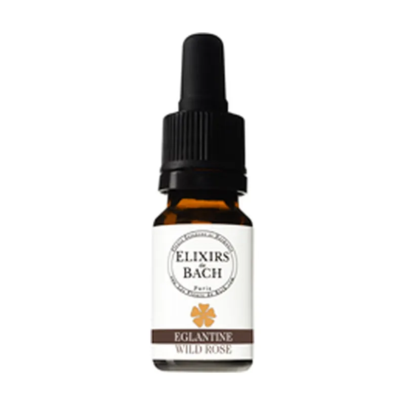 Don't Miss Out 37 Eglantine 10 ml of floral elixir Elixirs & Co