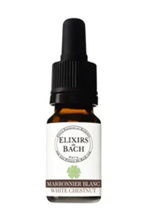 Bargain 35 White chestnut 10 ml of floral elixir Elixirs & Co
