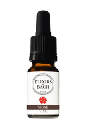 32 Vine 10 ml of floral elixir Elixirs & Co Reduced Price