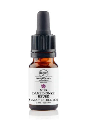 29 Lady of Eleven 10 ml of floral elixir Elixirs & Co Budget