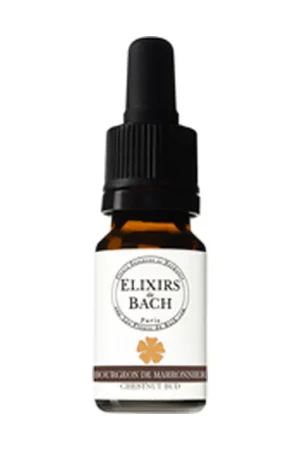 Brand New 07 Chestnut Bud 10 ml of floral elixir Elixirs & Co