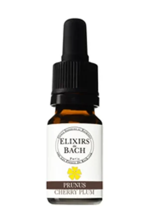 06 Prunus 10 ml of floral elixir Elixirs & Co Get Yours