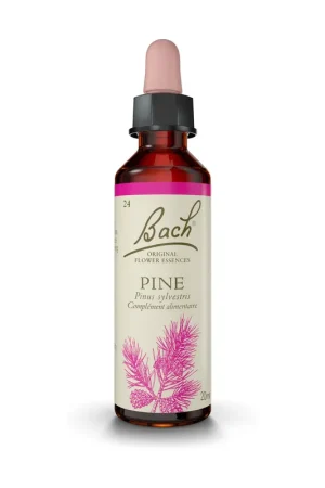 One Day Deal Bach® Flowers Original Pine (Sylvester Pine) 20 ml of floral elixir Fleurs de Bach® Original