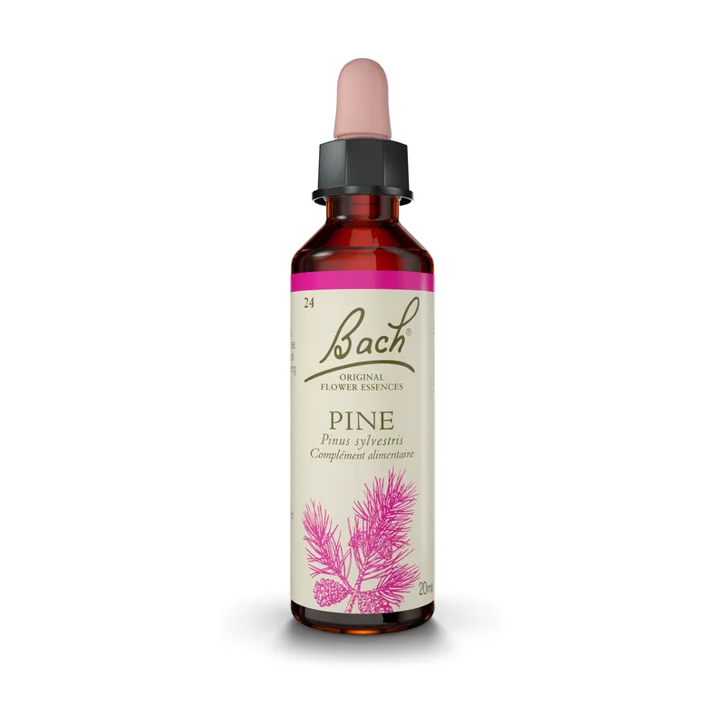 One Day Deal Bach® Flowers Original Pine (Sylvester Pine) 20 ml of floral elixir Fleurs de Bach® Original