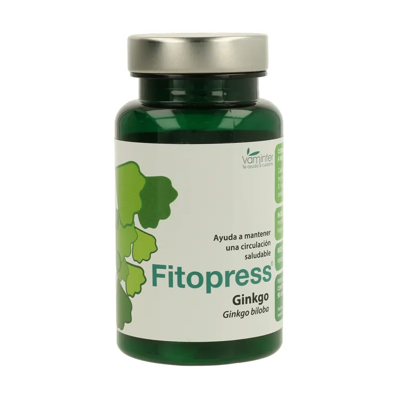 Ginkgo Biloba 90 tablets of 700mg Vaminter Grab Now