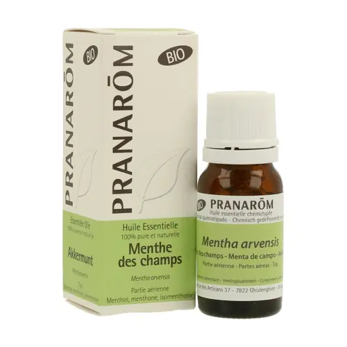 Wild Mint essential oil 10 ml of essential oil Pranarom Factory Price