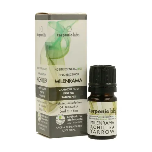 Organic Yarrow Essential Oil 5 ml of essential oil Terpenic Trending
